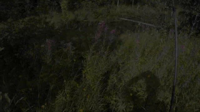 РЫБАЛКА В ДИКОМ РУЧЬЕ! С ГОЛОДНЫМИ РЫБАМИ/Рыбалка2022