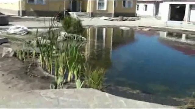 Пруд с альпийской горкой и двумя каскадными ручьями смотреть онлайн
