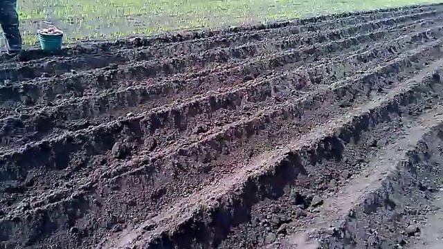 Сажалка для мото блока смотреть онлайн
