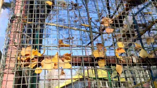 Читательский дневник/Лунные Хроники/Белоснежка?? смотреть онлайн