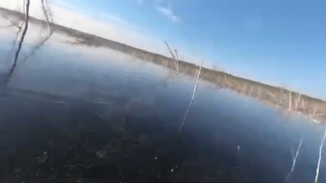 Тест Aiko Oberon 672M