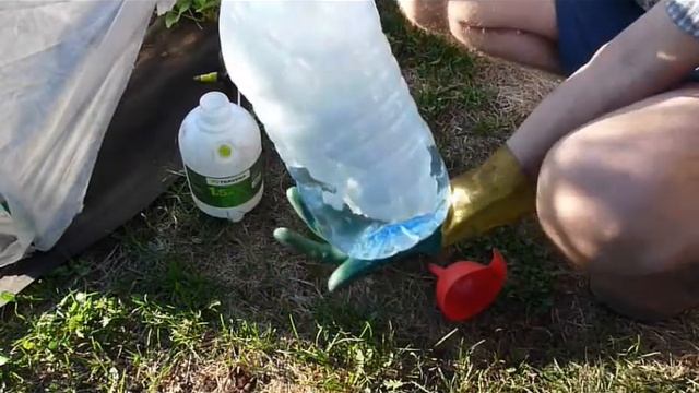 Алиот КЭ - препарат для борьбы с паутинным клещом на клубнике. смотреть онлайн