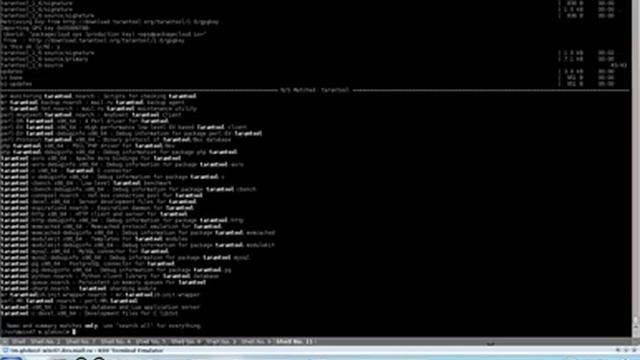 How to install Tarantool смотреть онлайн