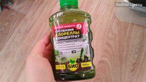 Спонтанная покупка филодендрона и экспериментальное удобрение