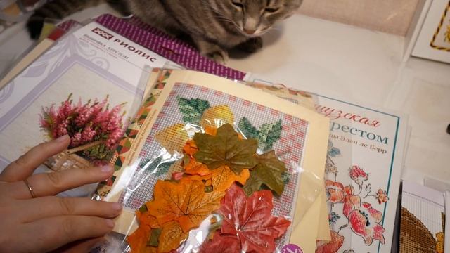 Шуршу покупками.Октябрь смотреть онлайн