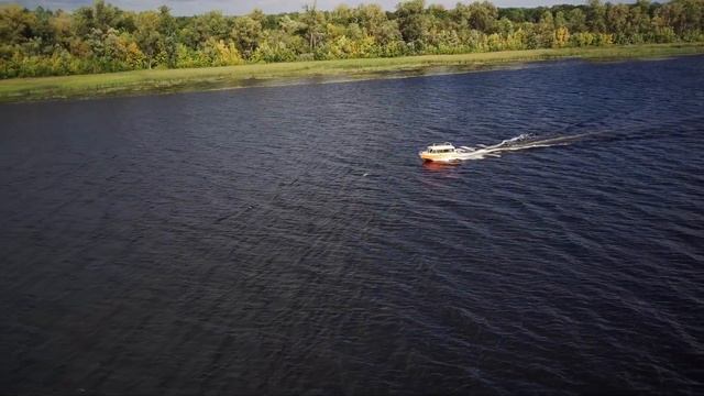 Не красота вызывает любовь, а любовь заставляет нас видеть красоту. смотреть онлайн