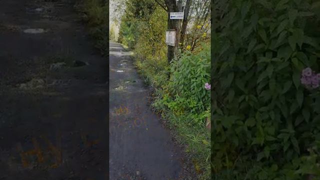 Дорога в в мой любимый уголок смотреть онлайн