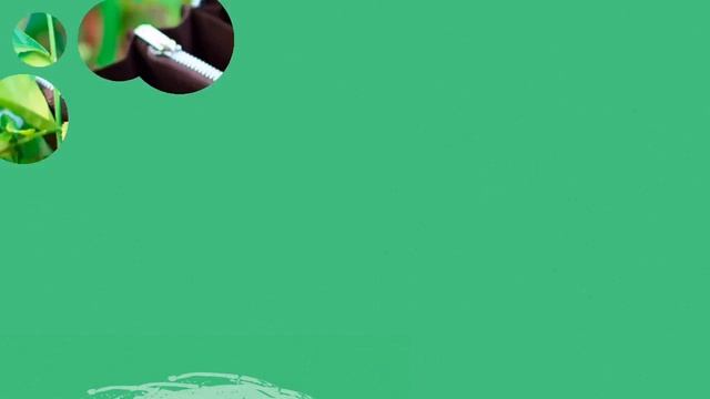 Сумки из кожи питона! Кожа питона в Москве и на Бали. смотреть онлайн