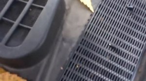 Куга 2 мусор под капотом. Вариант решения.