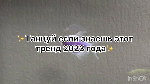 ☀️ТАНЦУЙ ЕСЛИ ЗНАЕШЬ ЭТОТ ТРЕНД 2023☀️