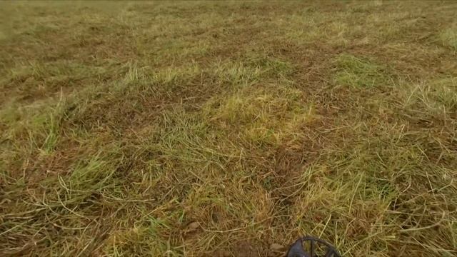 МОНЕТЫ БЫЛИ, МОНЕТЫ ЕСТЬ, КАКАЛИКОВ НЕ ПЕРЕЧЕСТЬ смотреть онлайн