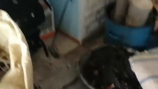 (468) 01-02.03 23 Приморье! Деревня! Весна пришла УРА!!! смотреть онлайн