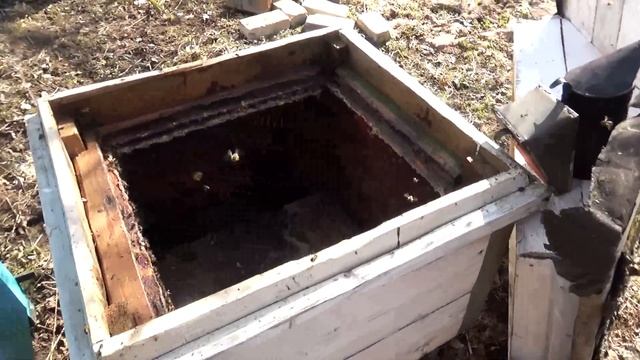 Объединение пчелосемей через газету. Не так страшно, как кажется. смотреть онлайн