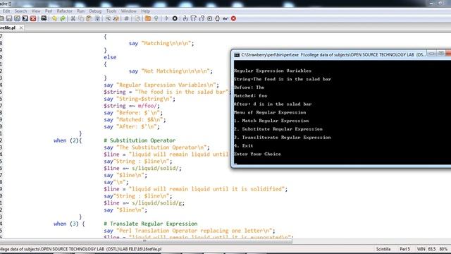WAP in perl for regular expression смотреть онлайн