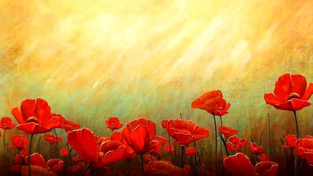 ФУТАЖ Фон с маками смотреть онлайн
