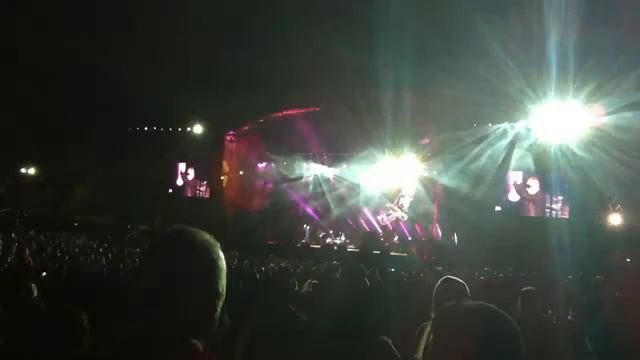 Holly Johnson смотреть онлайн