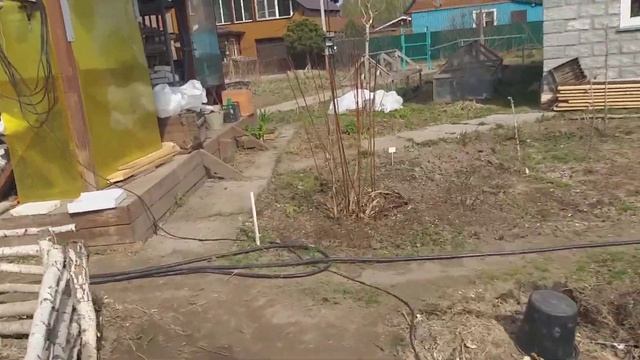 Саженцы малины,рассада???????? смотреть онлайн