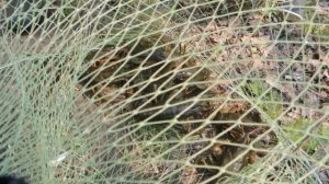 РАКОЛОВКИ. КАК ЛОВИТЬ. СРАВНЕНИЕ С КИТАЙСКИМИ РАКОЛОВКАМИ. ПРОДАЖА РАКОЛОВОК. КУПИТЬ РАКОЛОВКИ.