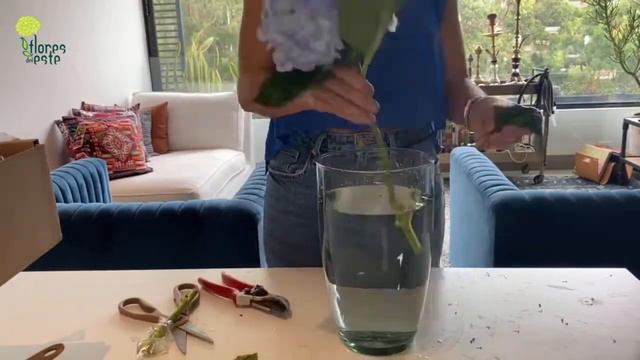 Blue Hydrangea DIY @Flores del Este смотреть онлайн