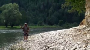 жерех .на бомбарду.