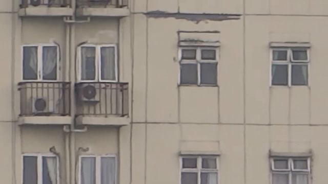 telezoom Sony dsc hx200v смотреть онлайн