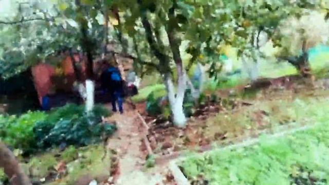 Стройка Движения