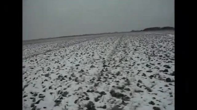 Псовая охота на зайца. смотреть онлайн