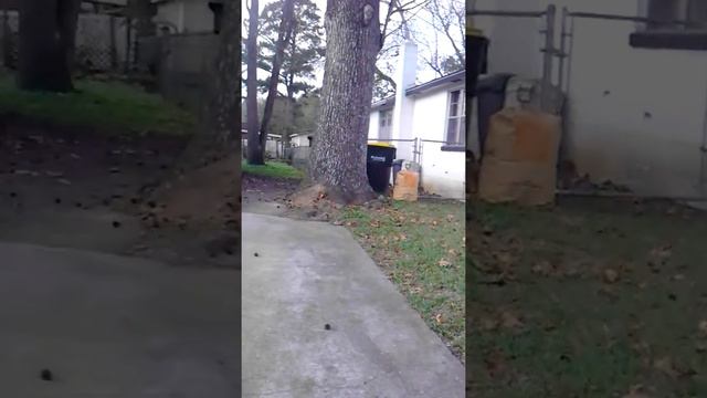 Mad ass boy смотреть онлайн