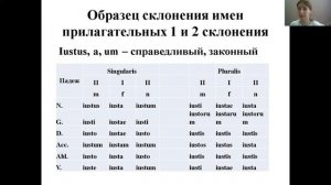 Прилагательные 1 и 2 склонения в латинском языке