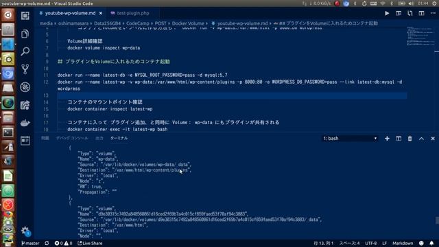 【Dockerの使い方】WordPress開発爆速化（プラグイン開発編） смотреть онлайн