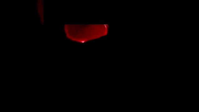 Овоскопирование яиц на седьмой день инкубации. смотреть онлайн
