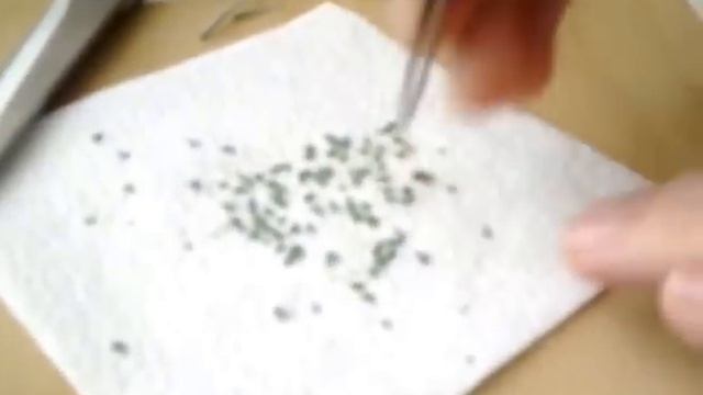 Кулинарный мастер-класс с Евой