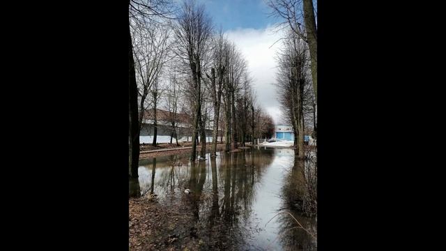 Подмосковной природе смотреть онлайн