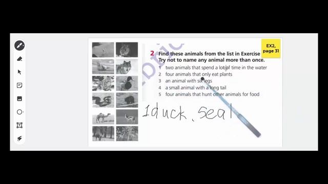Grade 6 Wild animals смотреть онлайн