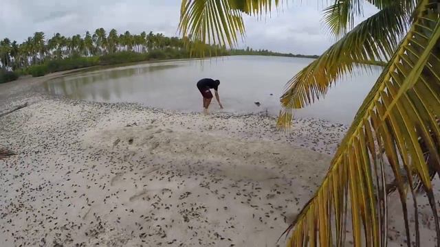 One with Nature - Addu Atoll - Maldives смотреть онлайн