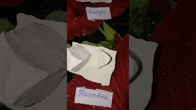 Мел 6 новых сортов. Мел Услада,Настёна,Аленка,Воздушный,Классик ,Элен смотреть онлайн