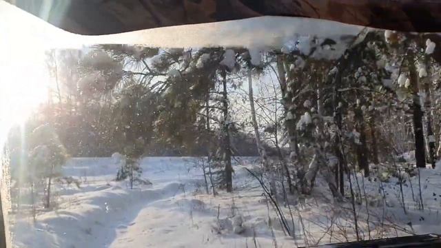 Аэролодка в лесу и на поле, нашли стаю серых куропаток смотреть онлайн