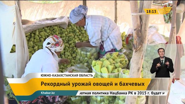 Рекордный урожай овощей и бахчевых ожидается в ЮКО смотреть онлайн