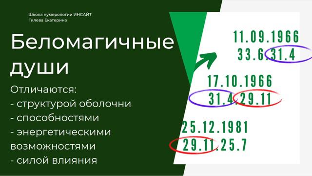 Числовые коды - Эволюция в кодах смотреть онлайн