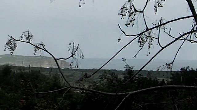 FujiFilm Finepix AX350 Video Test