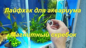 Лайфхак для аквариума "Магнитный скребок".