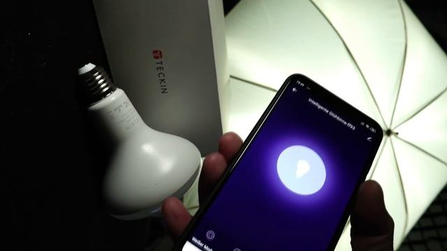 TECKIN LED Smart Bulb SB53 intelligente RGB Multicolor LED Glühlampe 13Watt dimmbar E27 G100 im Tes смотреть онлайн