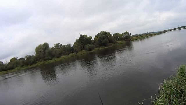 Фидер и мах. смотреть онлайн