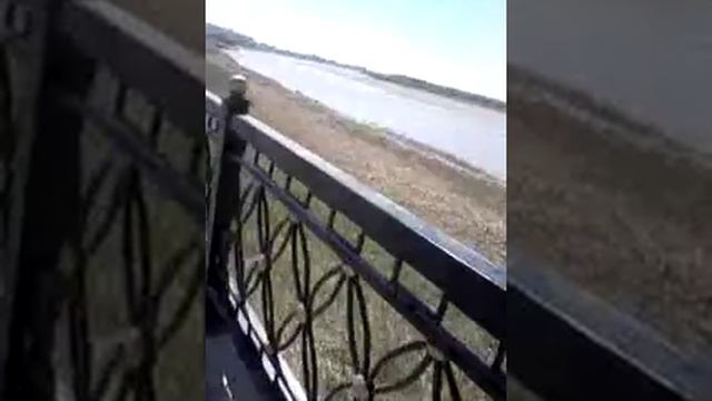 Орда река сырдарья смотреть онлайн