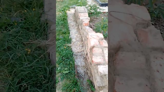 Жимолость "Бакчарский великан", "Гордость бакчара". Сбор ягод. смотреть онлайн