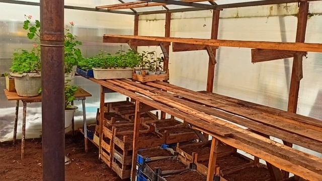 Теплица из поликарбоната своими руками! Стеллажи и отопление. смотреть онлайн
