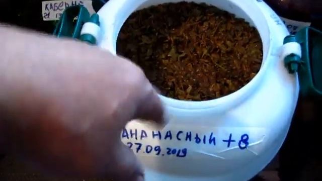 МЕЗГА из 9 ти БЕЛЫХ СОРТОВ ВИНОГРАДА ЗАБРОДИЛА НА ТРЕТЬИ СУТКИ смотреть онлайн