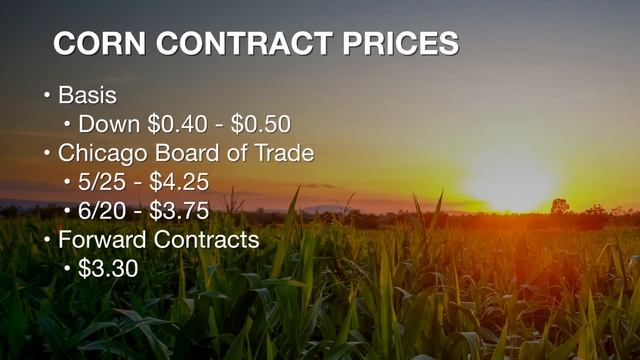 Market Monitor - Summer crops (6/23/18) смотреть онлайн