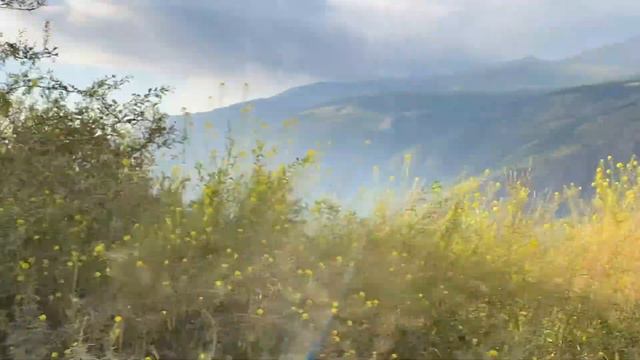 Автопутешествие из Новосибирска к водопаду Учар 2020.