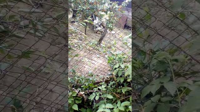 Реальное Чудовище смотреть онлайн